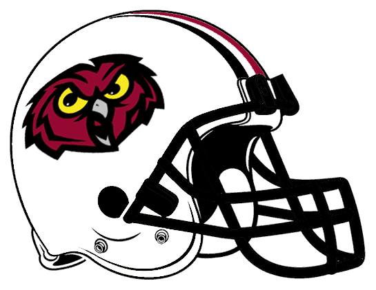 Temple Owls 2000-2003 Helmet Logo diy iron on heat transfer